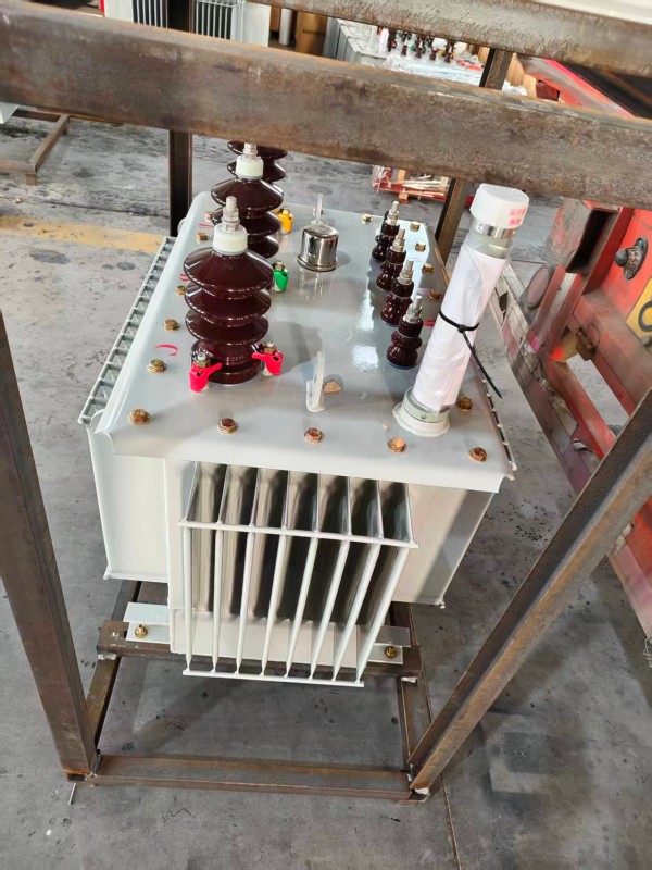 S13‑1000kVA <a href='https://rencheng.xdbyq.cn/youjinshi/' target='_blank' title='任城油浸式变压器'><strong>任城油浸式变压器</strong></a> 大型厂区 S13 任城任城任城油浸式变压器 S13‑1000kVA 任城任城任城油浸式变压器 大型厂区 S13 任城任城任城油浸式变压器